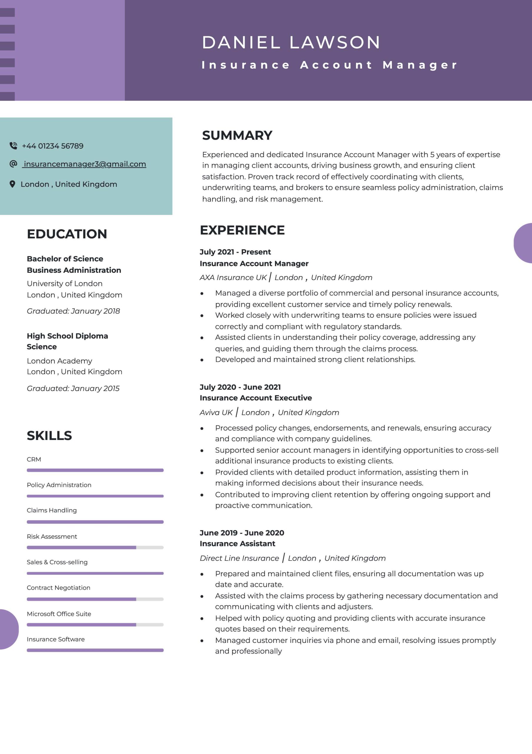 Insurance Account Manager Resume