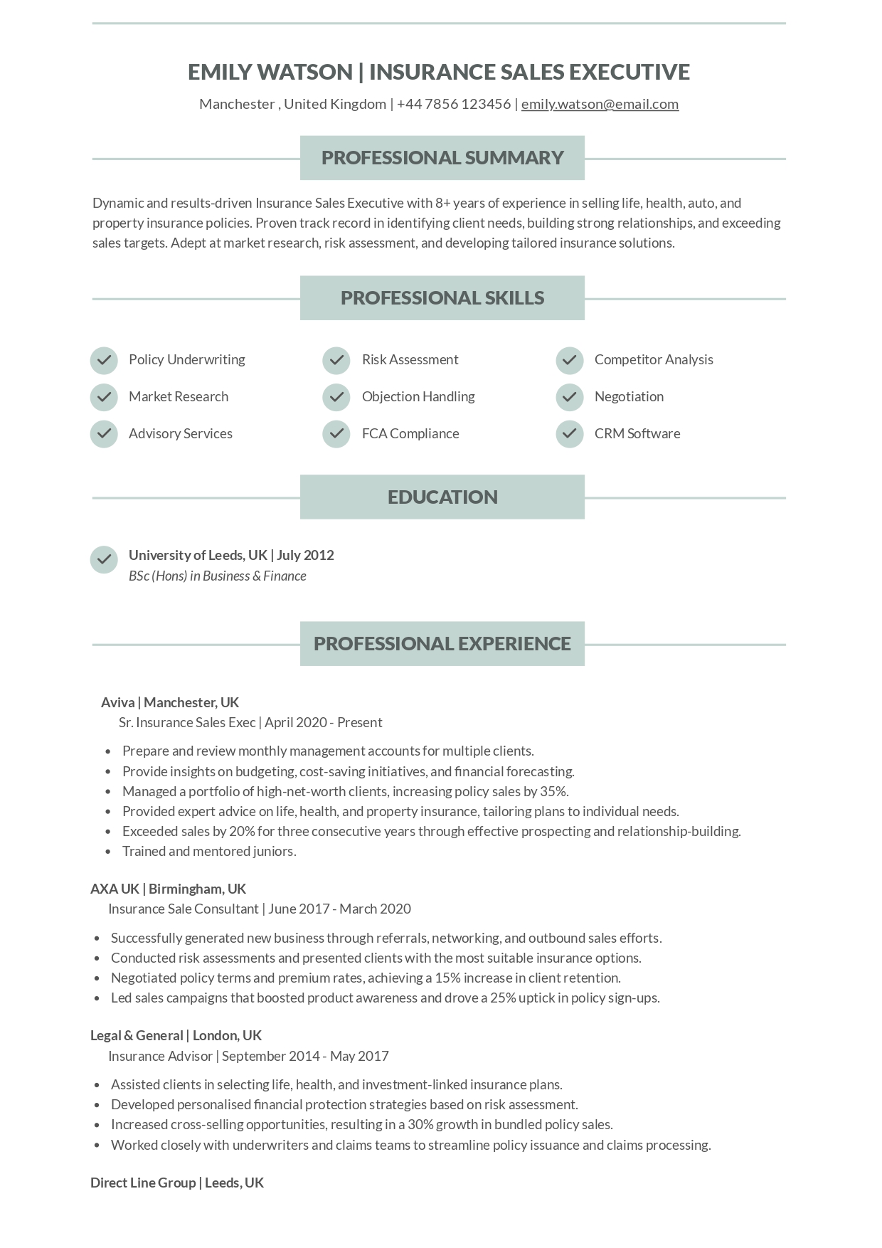 Insurance Sales Executive Resume